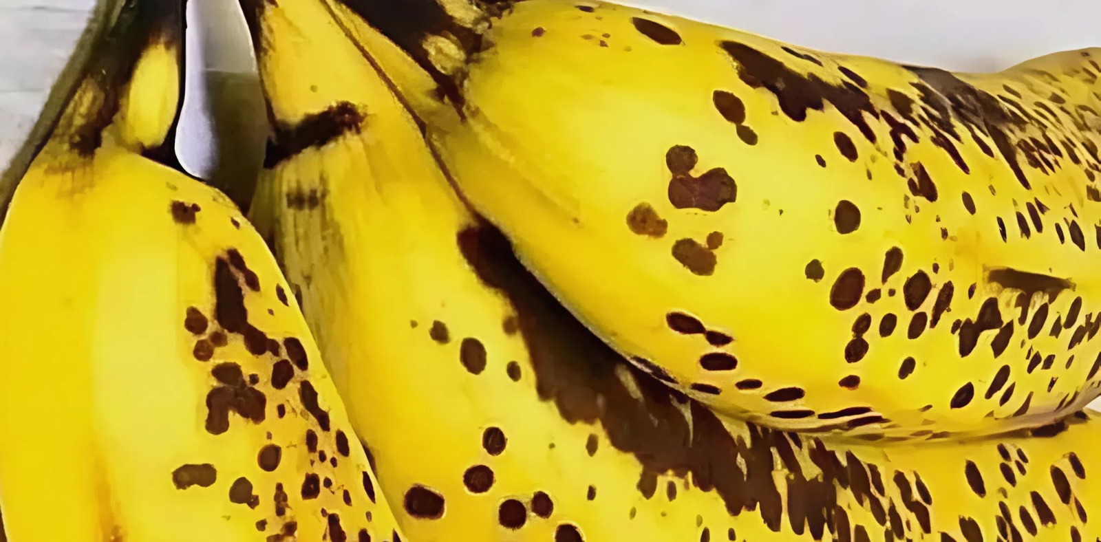 Frutas exóticas